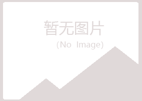 银川西夏听白能源有限公司